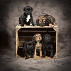Ingelijste foto in 30x30 aluminium lijst