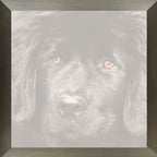 Ingelijste foto in 30x30 aluminium lijst