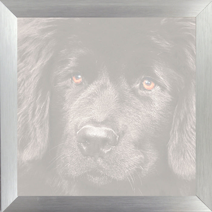 Ingelijste foto in 30x30 aluminium lijst