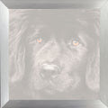 Silver photo frame