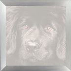 Ingelijste foto in 30x30 aluminium lijst
