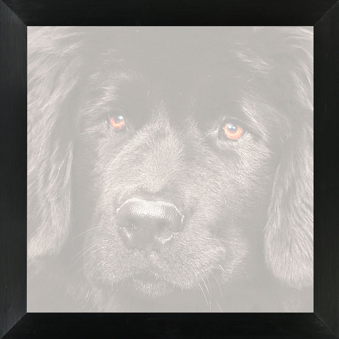 Ingelijste foto in 30x30 aluminium lijst