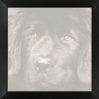 Ingelijste foto in 30x30 aluminium lijst