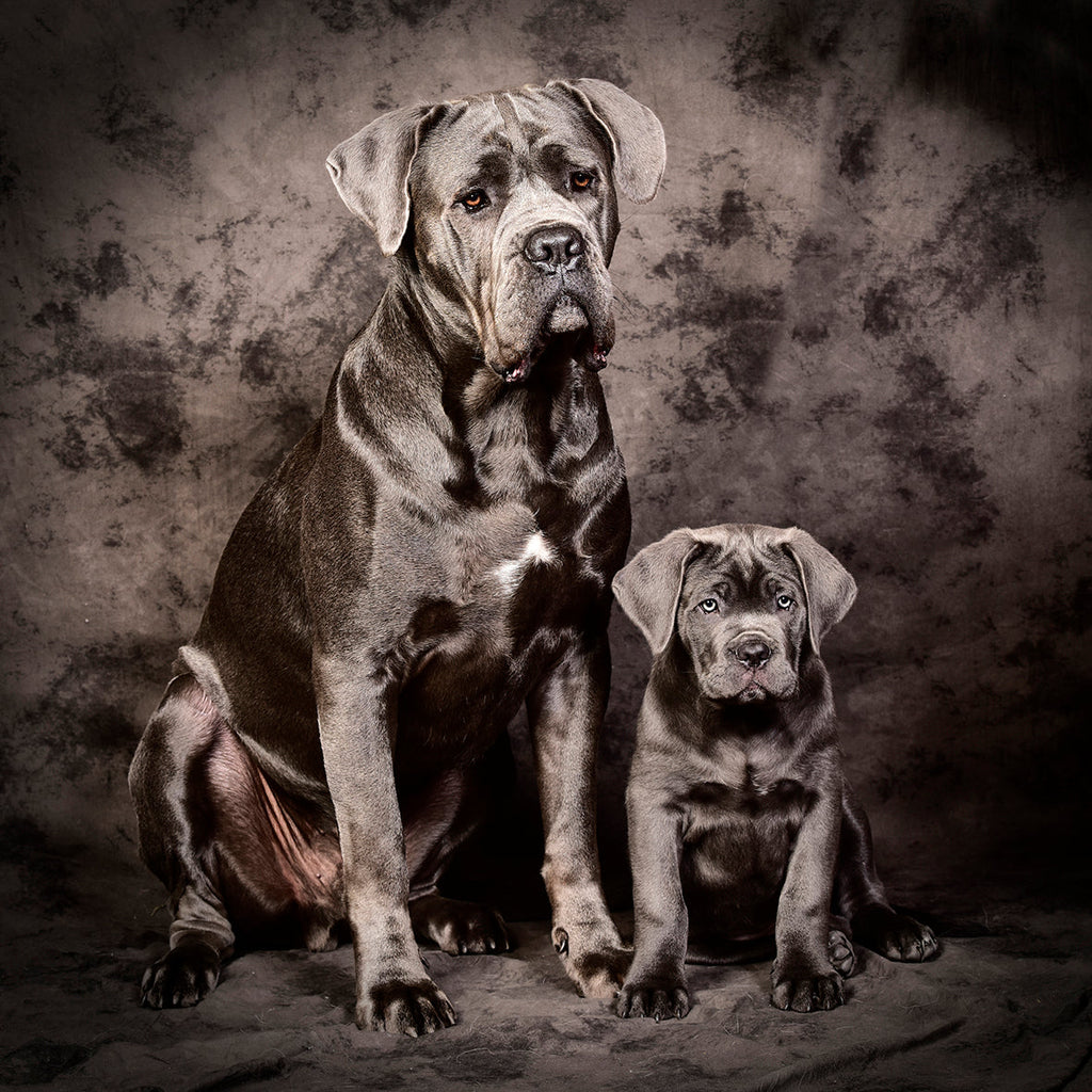 Framed photo in 40x40 aluminum frame