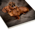Square photo on synthetic material