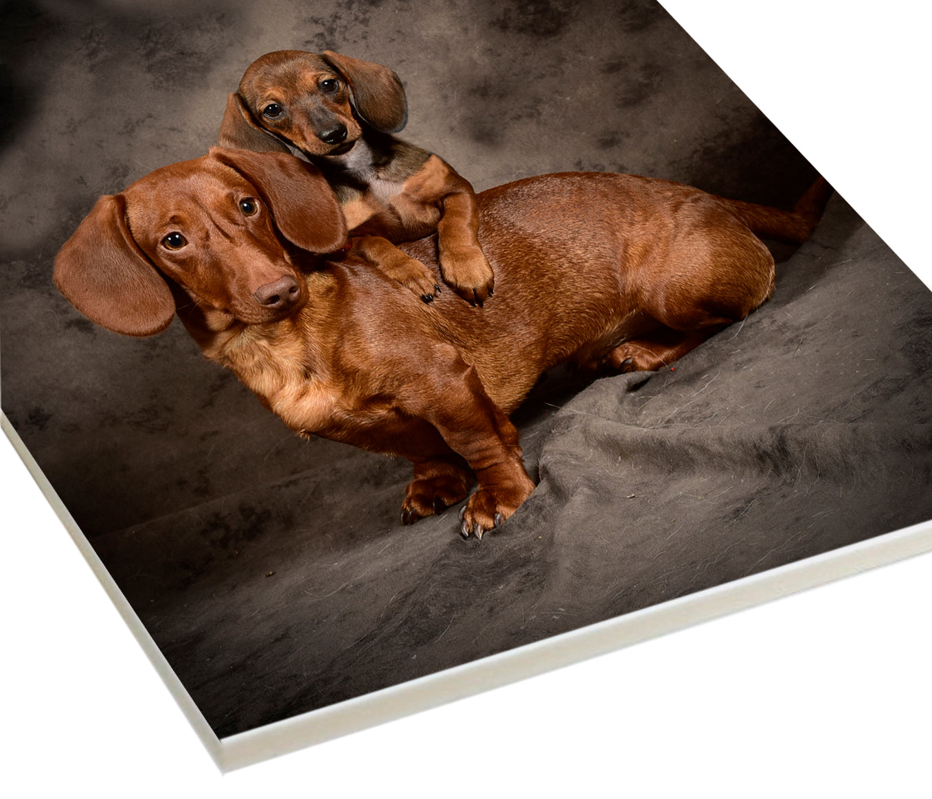 Square photo on synthetic material